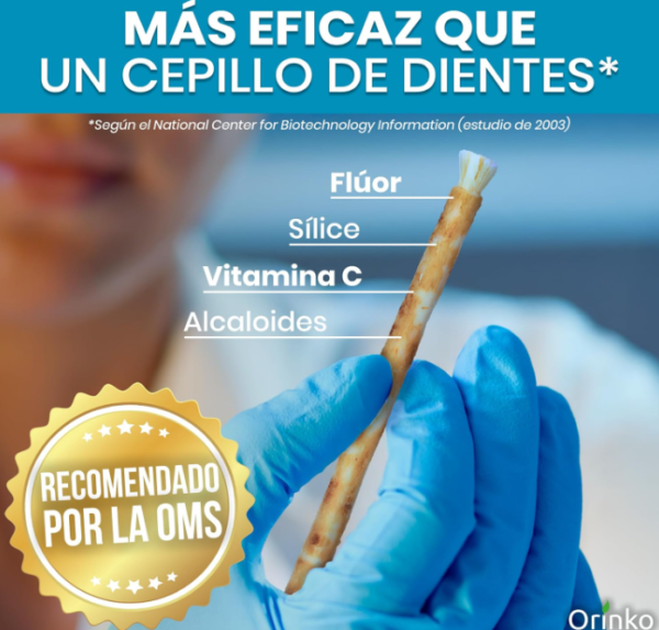 Pack de tres unidades de miswak natural para uso familiar Pack de tres unidades de miswak natural para uso familiar