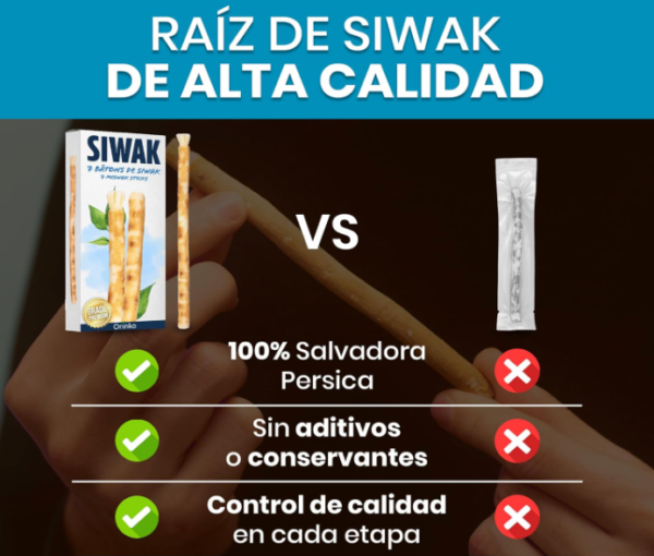 Persona utilizando el miswak como cepillo de dientes tradicional